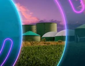 (re)energisa lança nova unidade de negócios: Bio Soluções
