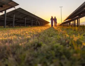 Energia limpa: desenvolvimento sustentável e economia