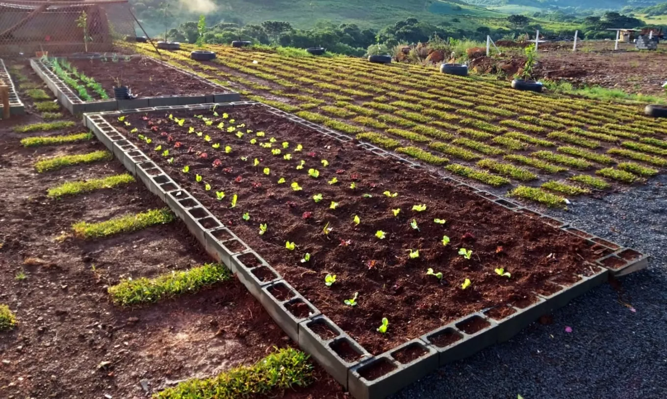 Fertilizantes orgânicos (re)energisa